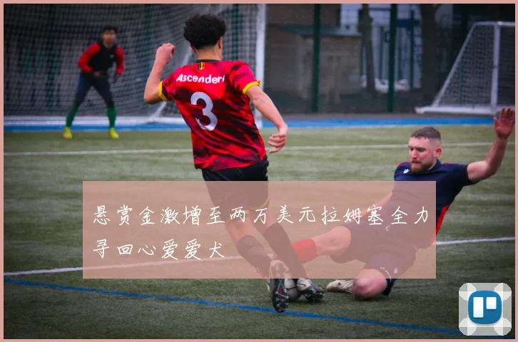 悬赏金激增至两万美元拉姆塞全力寻回心爱爱犬