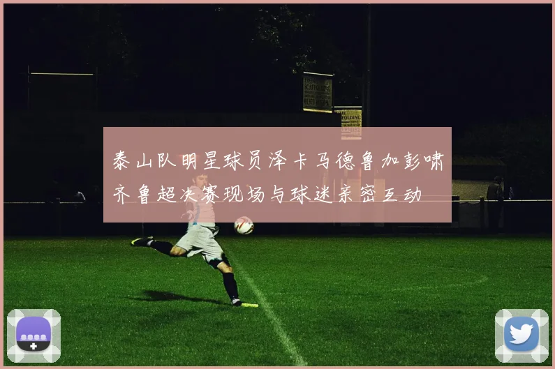泰山队明星球员泽卡马德鲁加彭啸齐鲁超决赛现场与球迷亲密互动