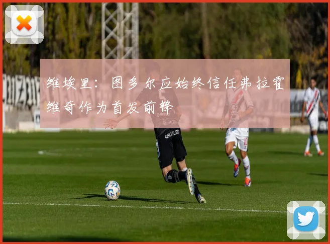 维埃里：图多尔应始终信任弗拉霍维奇作为首发前锋