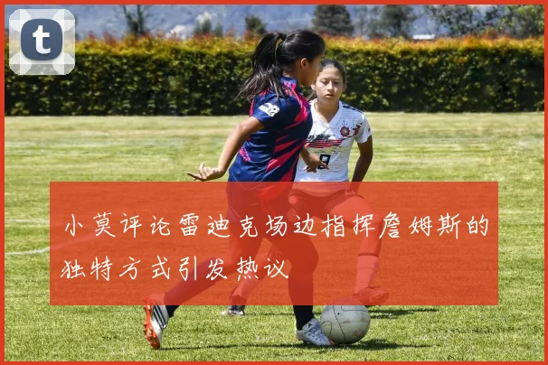 小莫评论雷迪克场边指挥詹姆斯的独特方式引发热议