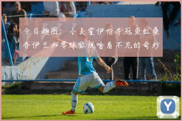 今日趣图：小麦霍伊伦夺冠鱼缸桑乔伊兰加零球你说啥看不见的奇妙瞬间