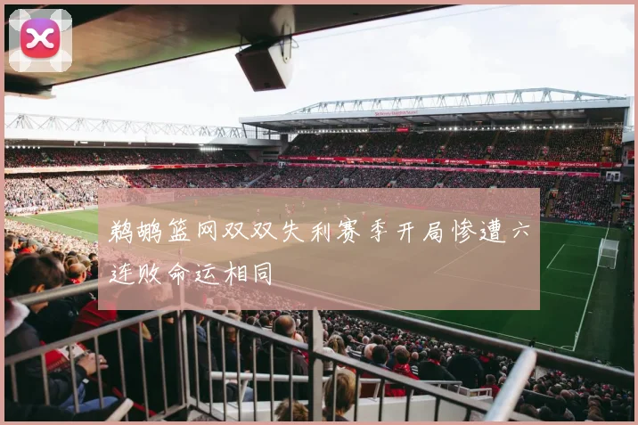 鹈鹕篮网双双失利赛季开局惨遭六连败命运相同