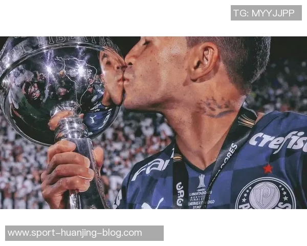 巴西球队展现统治力连续七年夺得南美解放者杯冠军荣耀